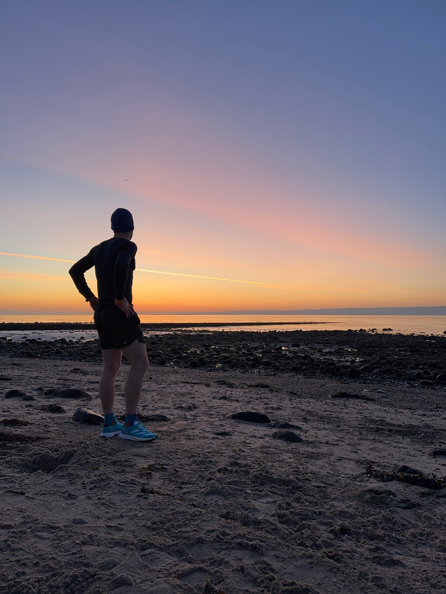 Dawn Miles — Belfast Lough